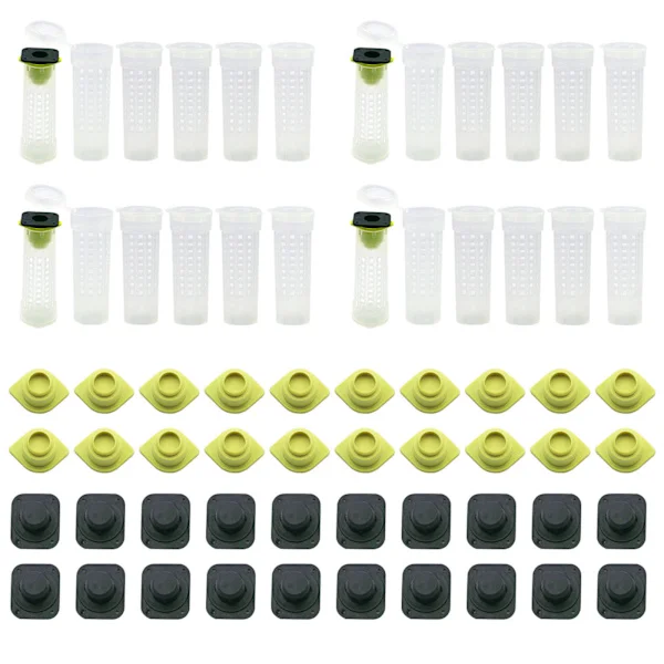 24-pack Biuppfödningskopp Kit - Drottningbi Rullbur Biodling Utrustning Insekter Verktyg, 7.6*2.6cm