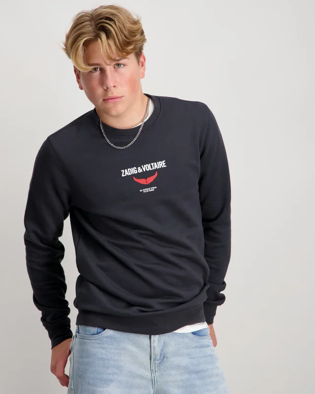 Zadig&Voltaire SWEATSHIRT Grå Genser Gutt - Kids Brand Store