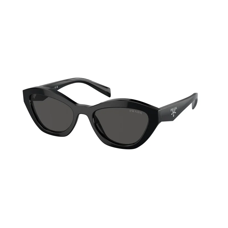 Prada -Aurinkolasit - Black Cat - Prada PR A02S 16K08Z 5219