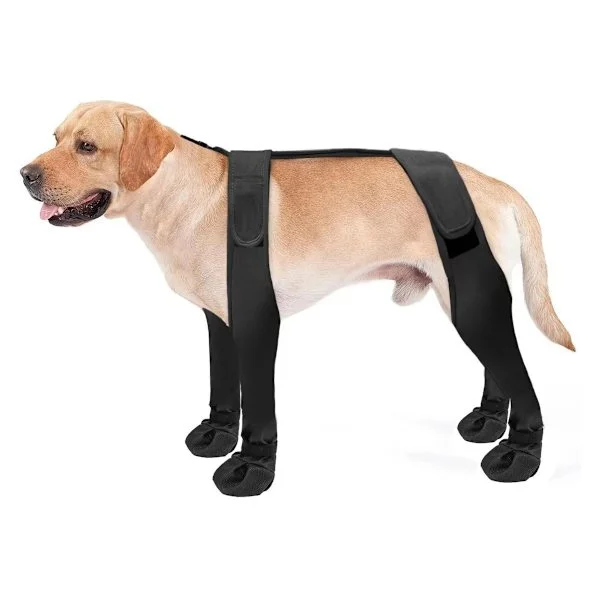 Dog Anti-Dirt Outdoor Shoes: Waterproof & Non-Slip Paw Protection for Dogs L