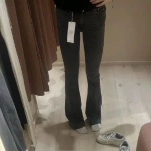 Gina full length flare jeans