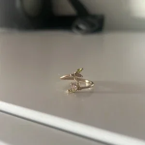 Otherstories ring!