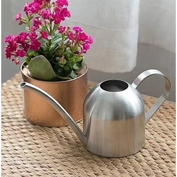 Vattenkanna 500 ML Guld Rostfritt Stål Vattenflaska Lång Mun Vattenkanna För Trädgård Växthus Inomhus Utomhus Bekväm (Färg: Silver)
