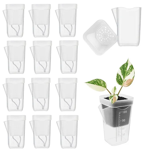 12-pack Seedling Pots with Plant Label, Transparent ABS Plant Trays for Rapid Propagation and Nursery Small