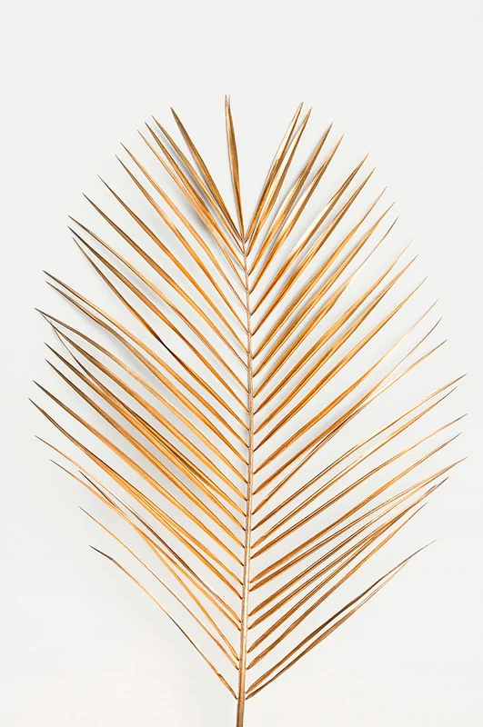 Malerifabrikken - Poster Palm leaf gold - Guld - Posters - Från Homeroom