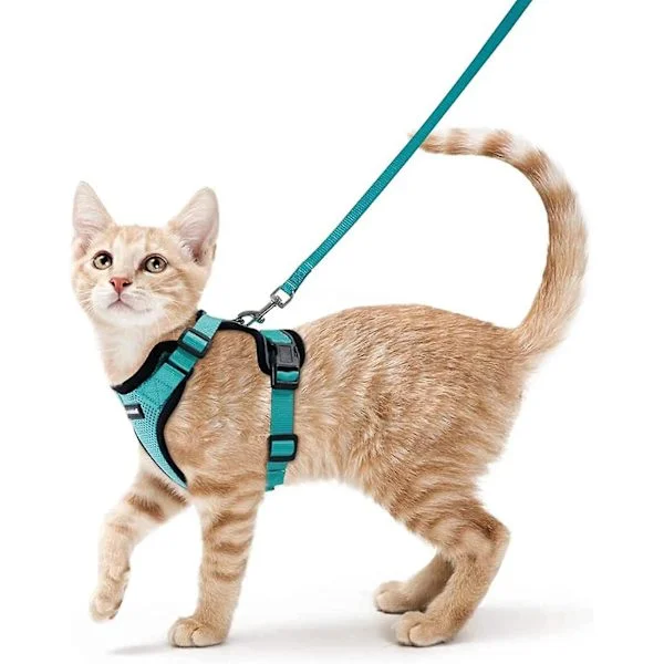 Rabbitgoo Kattsele Småhund Koppel Justerbar Kattungesele Svart Xs Halsband Reflekterande Kattsele Väst Andningsbar Väst För Kanin, Europeisk Katt,