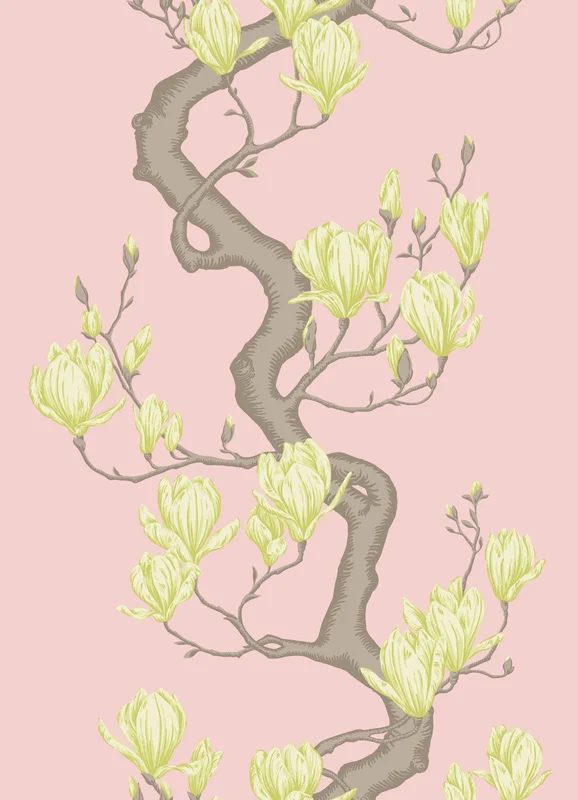 Magnolia Tree wallpaper - Cole & Son Sample / Rose Pink and Soft Lemon