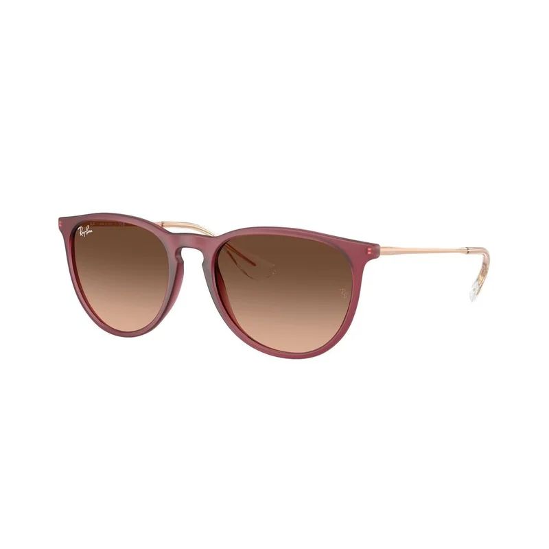 Ray-Ban Erika - Solbriller - Lilla - RB4171 6815A5 5418