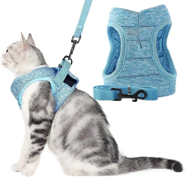 Mjuk kattsele och koppelset Rymningssäker promenad Justerbara mjuka jackor med dämpande kattkoppel (S, blå)