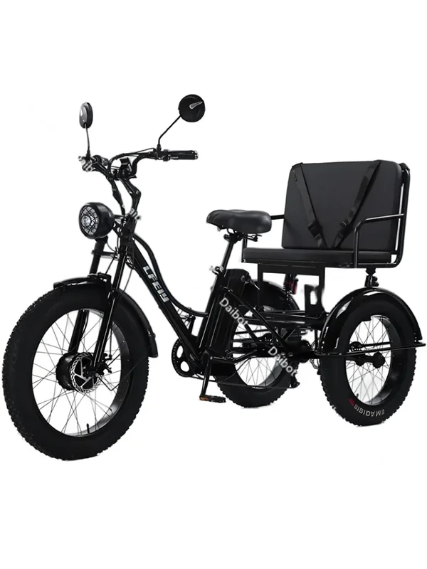 AliExpress - Cargo 3-wiel elektrische fiets 750w met passagiersstoel voor ouderen Nieuwe elektrische fiets Blauw 48V dikke elektrische driewieler met 