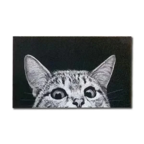 Holdbar dørmatte utendørs katt, støvoppsamlende velkomstmatte tynn ytterdørmatte innendørs og utendørs 40*60cm tittende katt