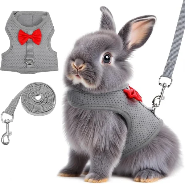Kaninsele og båndsett, kaninbånd for tur, rømningssikkert, kaninklær med søt sløyfe, pustende justerbar vest, kaninsele for camping