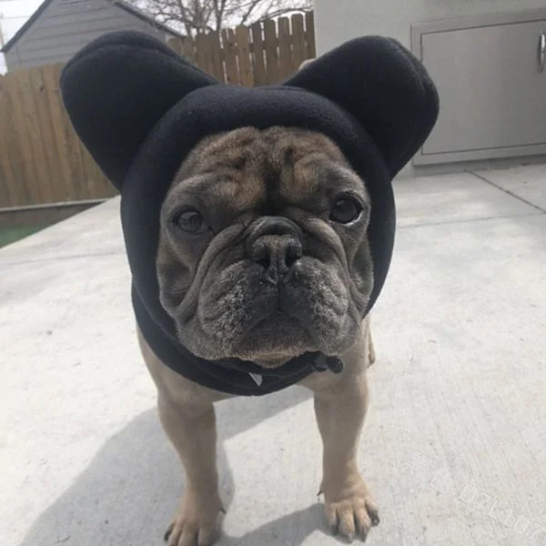 Varme vinterhundhatter Hund Fleece Flaggermushatt SVART M svart