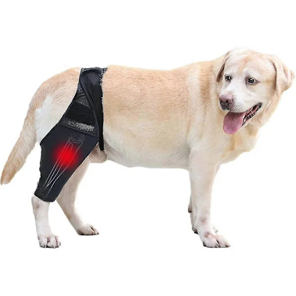 Hund Knäskydd Hundbensskydd För Riven Korsband Bakben Hund Höftstöd, Hund Korsband Knäskydd Justerbart Hund Knäskydd Hundbensskydd
