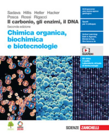 Il carbonio, gli enzimi, il DNA. Chimica organica, biochimica e biotecnologie. Per le Scuole superiori. Con Contenuto digitale (fornito 