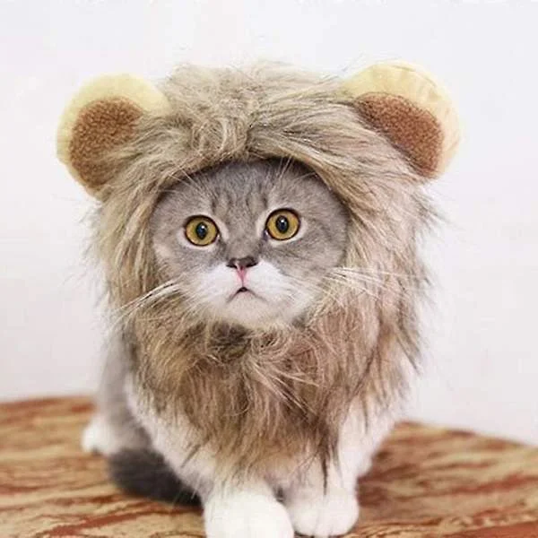 Sød løvemanke til katte, killingeoutfits, løveparyk, halsklud, krave, festival, kæledyr, kat, løve, kæledyr, kattekostume, krave