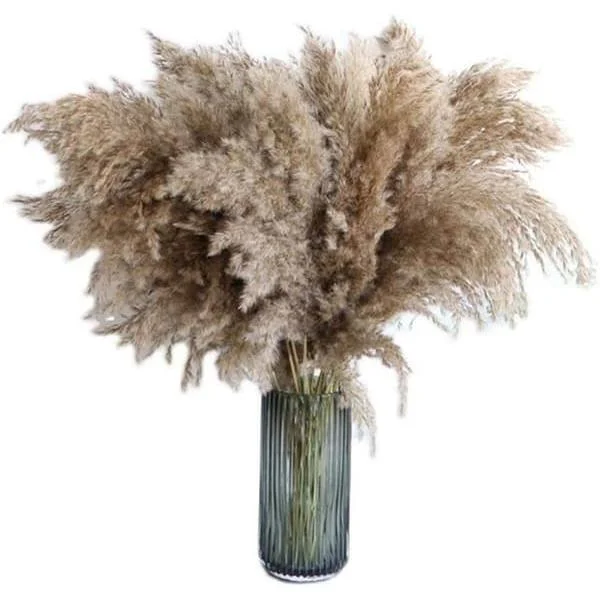 20 stk. Pampasgress 80 cm Naturlig tørket Bryllupsblomst Trend Pampas Kunstig bukett Tørket hjemmeinnredning innendørs vaser