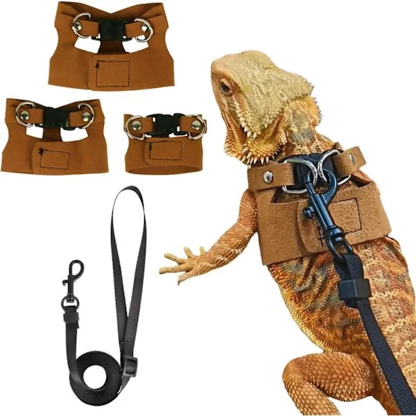 Skjeggagam sele og båndsett, øglesele, øglereptil gåbånd for skjeggagam (brun)(BT)