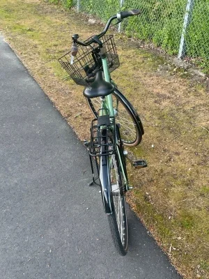 Grön damcykel med korg och pakethållare