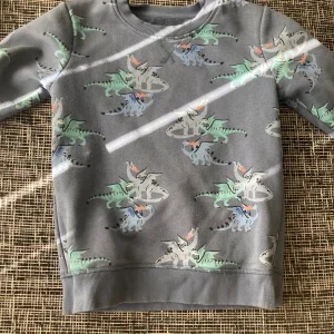 Grå drakmönstrad tröja Mywear Young