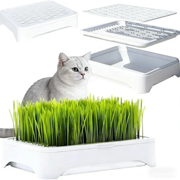 1/2-pakke kattegress (uten frø) - Tredelt design med anti-velt funksjon | Microgreens dyrkebrett 2-pakning
