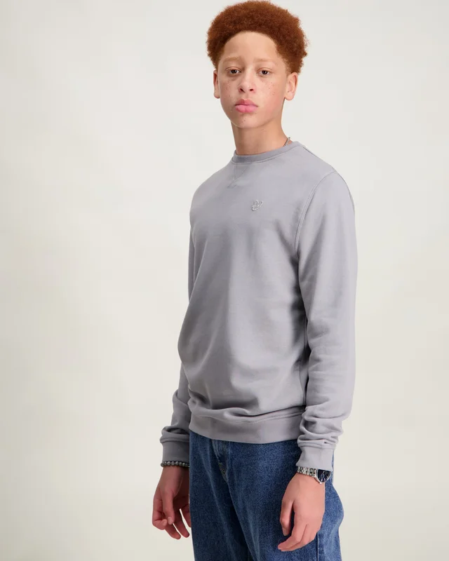 Lyle & Scott Tonal Crew Neck Sweatshirt Grå Genser Gutt - Kids Brand Store