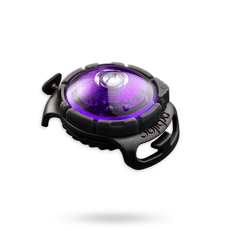 Orbiloc - Orbiloc Safety Light - Lila - Säkerhetslampor & reflxer till hundar- För stora hundar