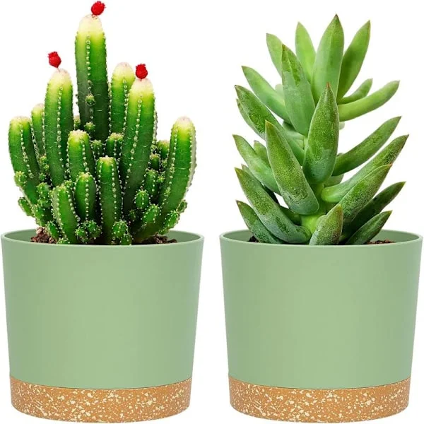 Plantepotter Sæt med 2 stk. 12 cm, Potter til indendørs planter med drænhul og aftagelig bund, Fad Moderne Dekorativ til havekrukker