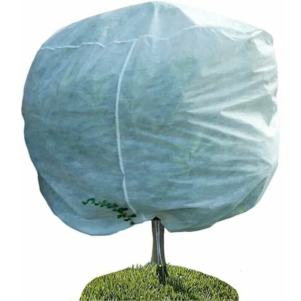Plant Winter Protection 240x200 cm Adjustable with Zipper and Drawstring Compatible with Palm Trees