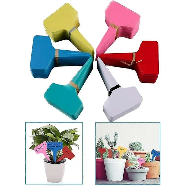 Planteskilte & Etiketter Osteetiketter Haveskilt Grøntsagsbed Frøplanteetiketter Lille mærkningsværktøj Planteskilte 6CM*10CM (120 stk)